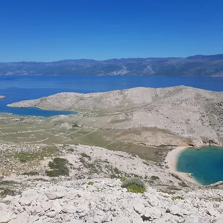 Vavrickova באסקה