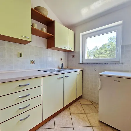 דירה Vavrickova *