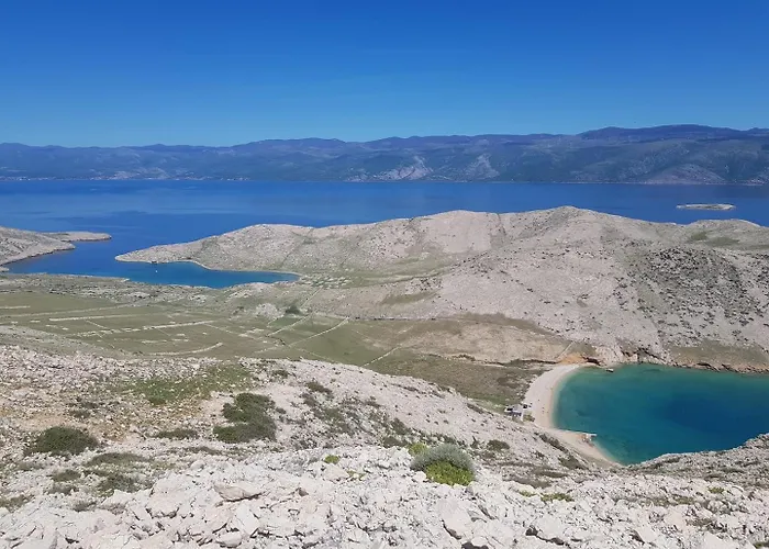 Vavrickova バスカ