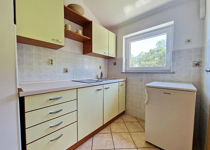 アパート Vavrickova *